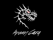 Webseite - Artistica Anam Cara, Kaufbeuren - Musikverein Hirschzell, Kaufbeuren